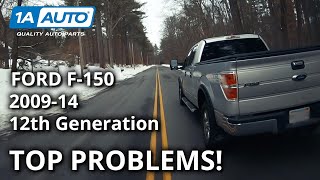 Top 5 Problems Ford F150 Truck 12th Generation 200914 [upl. by Aerb]