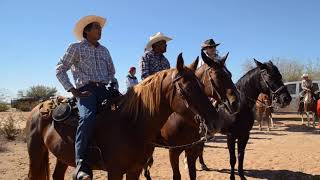 Cabalgata a Quitovac Sonora tohono oodham [upl. by Auginahs]