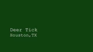 Deer Tick Houston TX [upl. by Seidler]