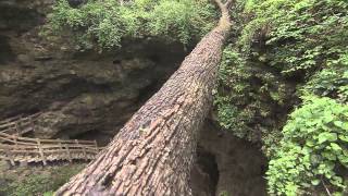 Maquoketa Caves State Park Jackson County Iowa [upl. by Aleakcim193]