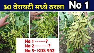 30 वेरायटी मध्ये ठरला No 1 सोयाबीन वाण  soybean variety in maharashtra in marathi soybean seeds [upl. by Oirevlis]