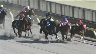 20200223 Hyacinth Stakes JPN  Cafe Pharoah [upl. by Jairia618]