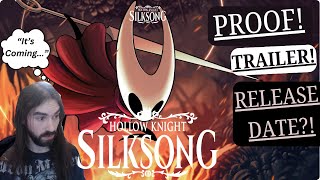 Did We Find Silksong [upl. by Irodim]