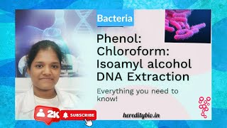 Bacterial DNA isolation by PhenolChloroform Method ।Heredity Biosciences [upl. by Veneaux]