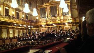 Jasminka Stancul  Wiener Symphoniker  Musikverein 2011 [upl. by Nonad]