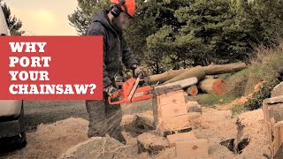 Why Port your Chainsaw  Husqvarna 365 Review [upl. by Riedel]