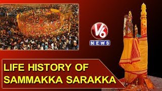 Medaram Jatara  Life History Of Sammakka Sarakka  V6 News [upl. by Nim]