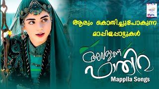 ആരും കൊതിച്ചുപോകുന്ന മാപ്പിളപ്പാട്ടുകൾ  Mappila Songs  Avalan Fathima Mappila Songs [upl. by Maxey]