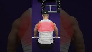 Barbell Row Variations KNOW THE DIFFERENCE [upl. by Arvad]