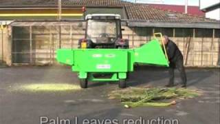 TB300 COMBY  The only ChipperShredder in the world to reduce Palm Leaves into powder [upl. by Decima]