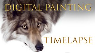 Wolf Study  Digital Painting Timelapse [upl. by Danae582]