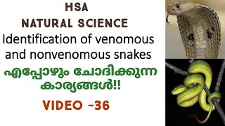 Venomousampnonvenomous SnakesHSA NATURAL SCIENCE [upl. by Airam]