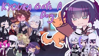 Kyouka found a dog ✨BSD Bungo stray dogs ✨ Enjoy [upl. by Jewell]