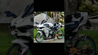 Kawasaki Ninja 300 modified new look [upl. by Ardnasirk772]