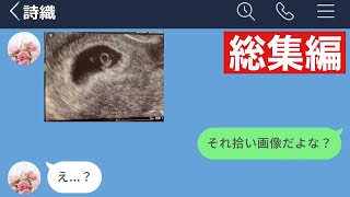 【LINE】嘘の妊娠報告をしてきた元嫁がヤバすぎたwww【作業用・総集編】 [upl. by Field696]