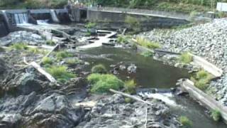 The Removal of Savage Rapids Dam [upl. by Leahcimnhoj23]