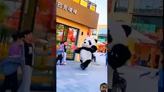 panda pandalover bear pets funny cute [upl. by Inalaehak]