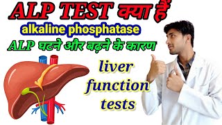 ALP normal rangeALP Alkaline phosphatase ALPnormal range ALP test kya haistudywithhussain [upl. by Havstad36]