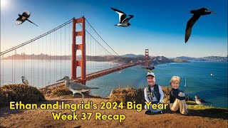 Ethan and Ingrids 2024 Big Year Week 37 [upl. by Eelrehpotsirhc]