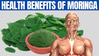 MORINGA BENEFITS  16 Amazing Health Benefits of Moringa You Should Know [upl. by Mavilia]