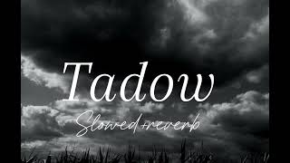 Masego  FKJ  Tadow Slowedreverb [upl. by Ingeborg]