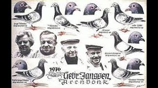 Racing Pigeon History  The Janssen Brothers [upl. by Verdie]