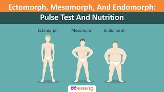 Ectomorph Mesomorph And Endomorph Pulse Test And Nutrition [upl. by Gabriella195]