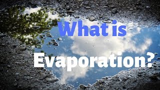 What is Evaporation and Why do Puddles Disappear DaytoDay Science [upl. by Luis]