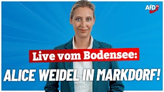 Live vom Bodensee Alice Weidel in Markdorf  AfD [upl. by Drape851]