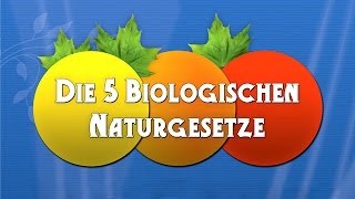 Die 5 Biologischen Naturgesetze  Die Dokumentation [upl. by Tica]