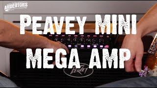 All About The Bass  Peavey Mini Mega Bass Amp  The quotFlashquot Dance Amp [upl. by Nerland]