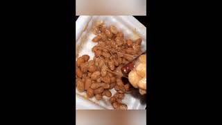 VEGAN NATTO FOR THE FIRST TIME veganuary Day 2 SHORTS [upl. by Prader]