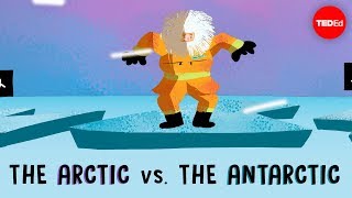 The Arctic vs the Antarctic  Camille Seaman [upl. by Dehsar549]