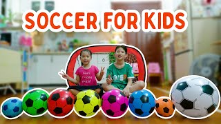 Learn Colors and Kick Soccer Balls to the Goal  Fun Soccer Learning for Kids [upl. by Sosna493]