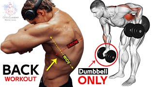 🌑 Exercise Back Workouts Dumbbells Row Only [upl. by Alverta]