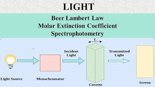 Beer Lambert Law Molar Extinction Coefficient Spectrophotometry [upl. by Arob]