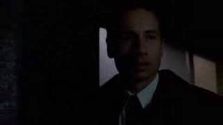 The XFiles Trailer [upl. by Nayr]