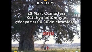 Kadim Belgeseli  4 Bölüm Kütahya  2 TRT Haber [upl. by Siddon695]