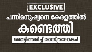 പന്നിമനുഷ്യനെ കേരളത്തിൽ കണ്ടെത്തി ഞെട്ടിത്തരിച്ച് ശാസ്ത്രലോകം│ANIL KODITHOTTAM│©IBT MEDIA [upl. by Andros]