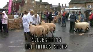 Border Collie Rescue  Masham Sheep Fair [upl. by Elaweda]