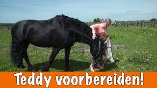 Paard voorbereiden voor wedstrijd DEEL 1  PaardenpraatTV [upl. by Enelad874]