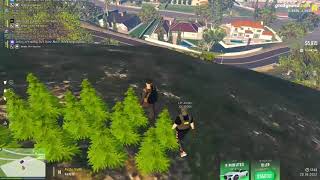 GRAND Rp Biggest weed plant found in city [upl. by Chyou]