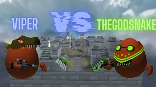 Viper VS TheGodSnake  Shell Shockers [upl. by Anaytat]