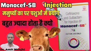 Monocef SB Injection Use Dose Price and Side Effects  Ceftriaxone Plus Sulbactam  Use In Animals [upl. by Vanzant]