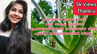 How to use aloe vera for hair growth ll Malayalam കറ്റാർവാഴ മുടിയിൽ എങ്ങനെ ഉപയോഗിക്കാം [upl. by Pavier142]