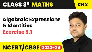 Algebraic Expressions and Identities  Exercise 81  Class 8 Maths Chapter 8 [upl. by Hanover]