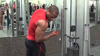 SINGLE ARM TRICEP PULL DOWN [upl. by Sherl]