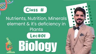 Nutrients Nutrition Minerals element amp its deficiency in Plants  Chapter 12  Biology Class 11 [upl. by Ecilef]