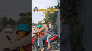 Ikuti keseruanku Mengunjungi Elang Jawa elangjawa [upl. by Airotkiv]