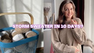 Storm sweater in 10 days  Making cashmere sweater for less than 100   petiteknit knitwithme [upl. by Reiter]